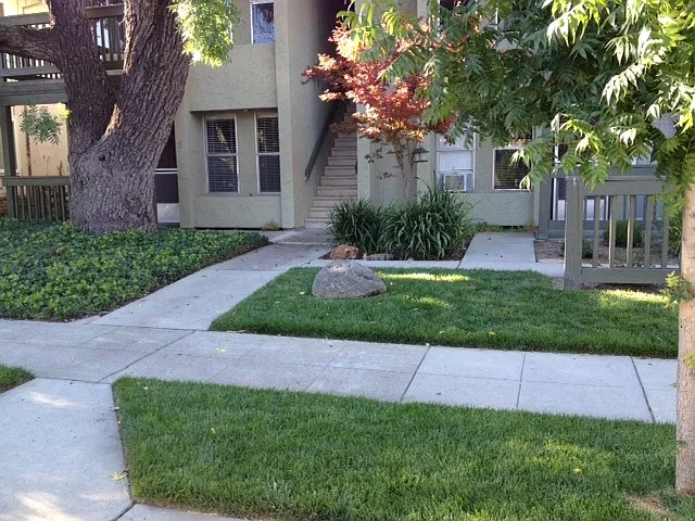 1 bed, 625 sqft, $2,250 — Photo 2