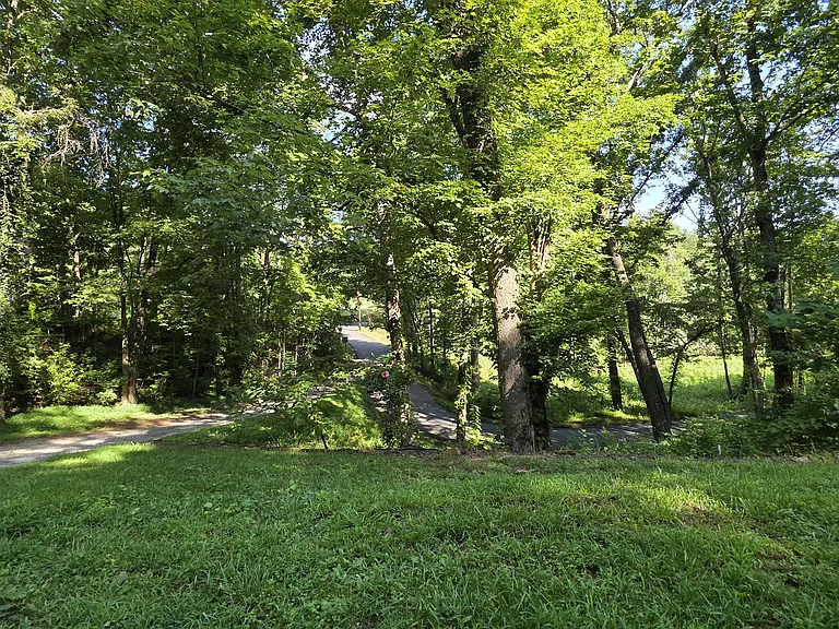 View off the front deck.