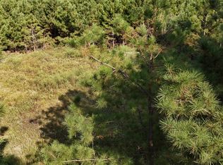 County Road 3121, Long Branch, TX 75669