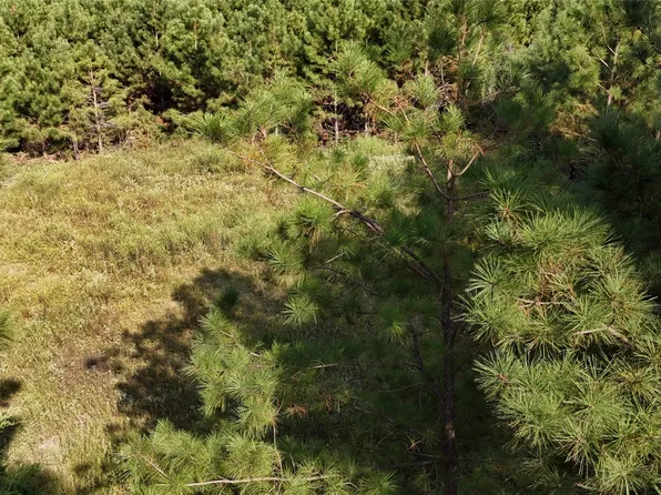 County Road 3121, Long Branch, TX 75669