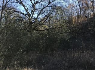 954 Mount Joy Rd, Mount Pleasant, TN 38474