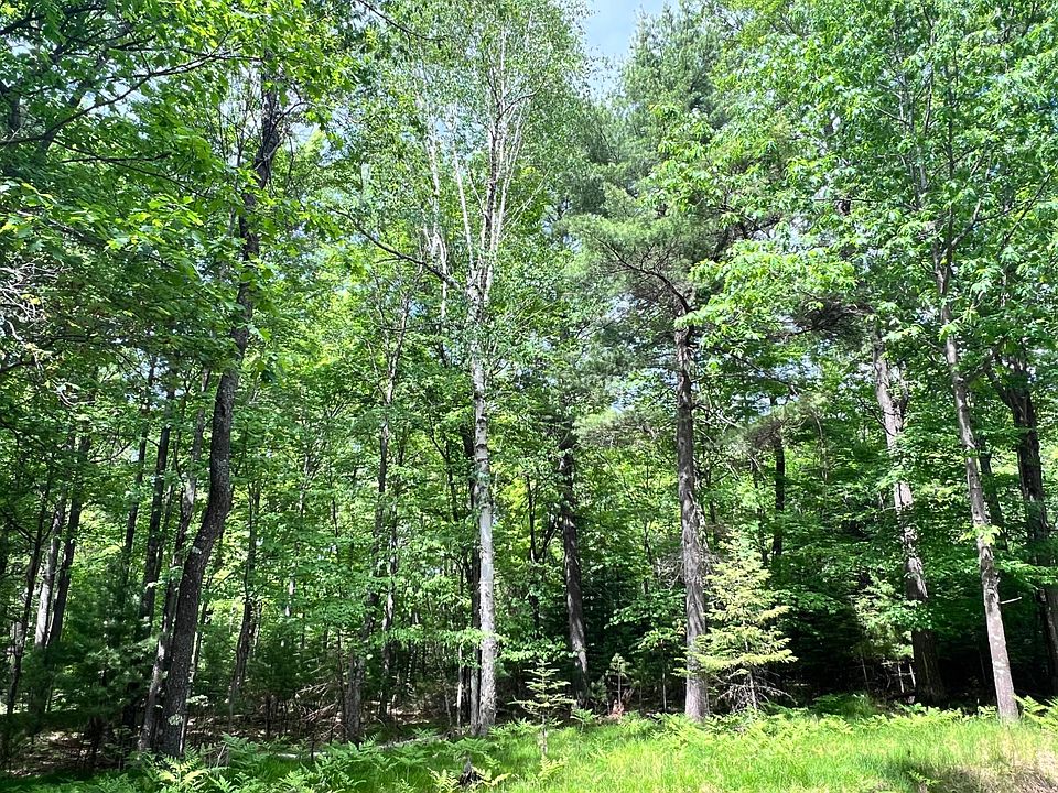 1st image of LOT 38 White Pine Dr