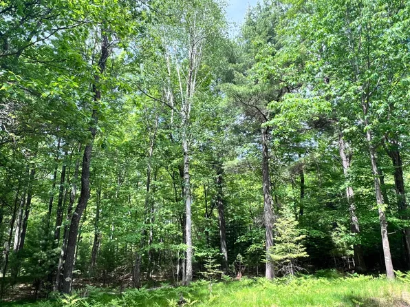 LOT 38 White Pine Dr, Eagle River, WI 54521