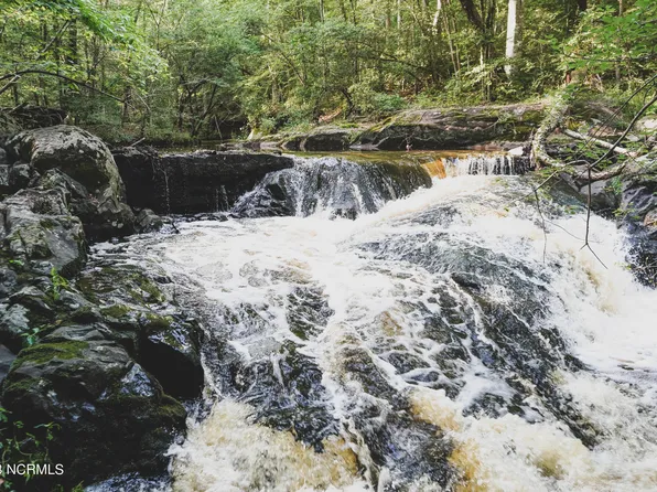 254 Acres J S Pope Road, Halifax, NC 27839