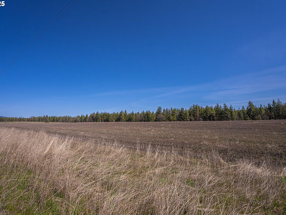 2nd image of 50 Two Mountain Views Rd #1