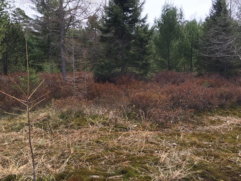 2nd image of Oak Ln