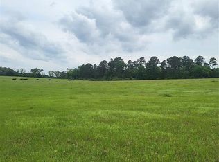 227 W & Hayesspring, Grapeland, TX 75844