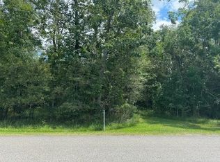 0 Pinewood Blvd LOT 18, Sour Lake, TX 77659