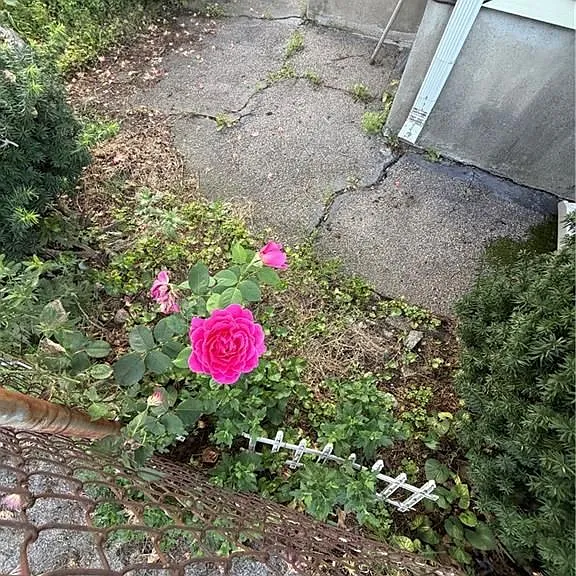 189 Woodward Rd #1 — Photo 3