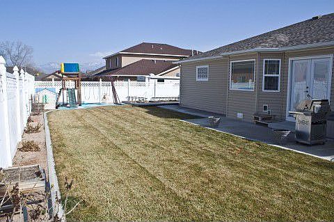 Nicely Landscaped Rear Yard
