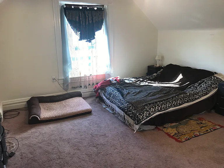 114 Olympia St #3 — Photo 6