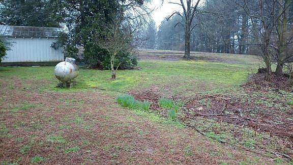 Yard area right side of house
