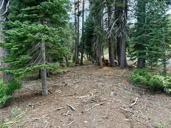 Quaking Aspen Rd, Arnold, CA 95223