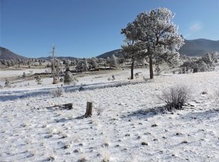 10620 Routt Rd, Lake George, CO 80827