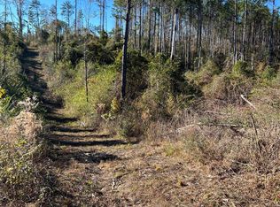 0 Hurricane Creek Rd, Sandy Hook, MS 39478