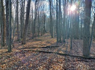 N Ridge Rd, Amherst, OH 44001