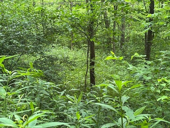 5th image of 0 Brush Run Rd