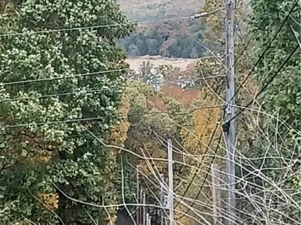 Wayne Dr #1, Lakeview, AR 72642