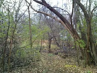 28624 W Kendall Ave Lot 6 photo 1