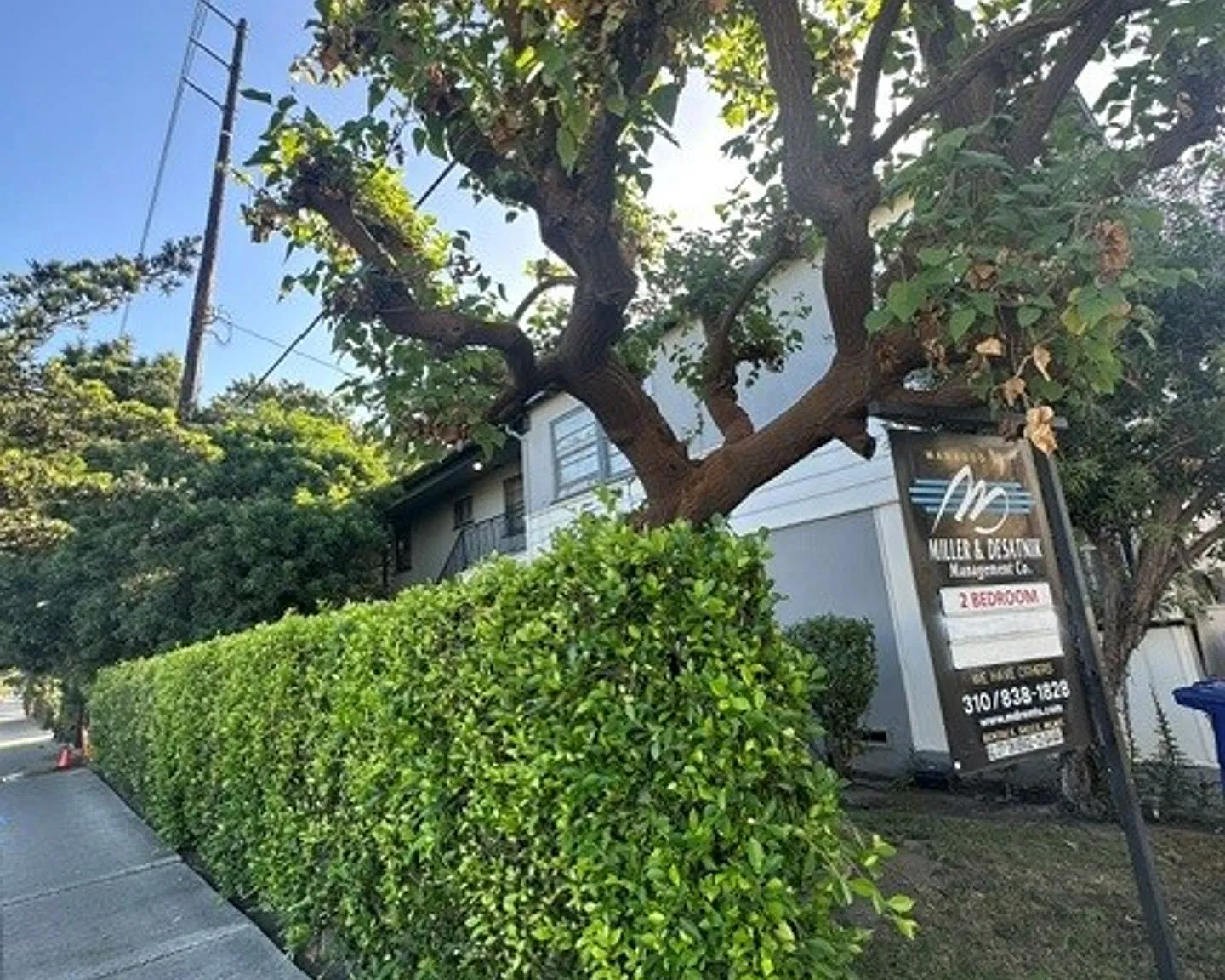 v11020 — Photo 1