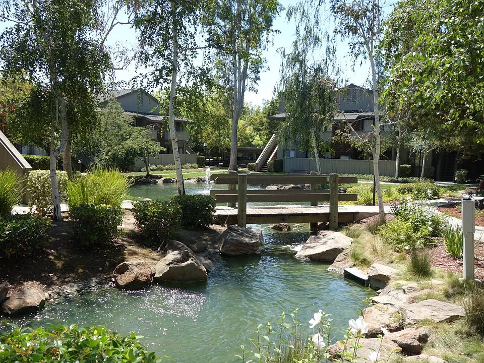 Pond