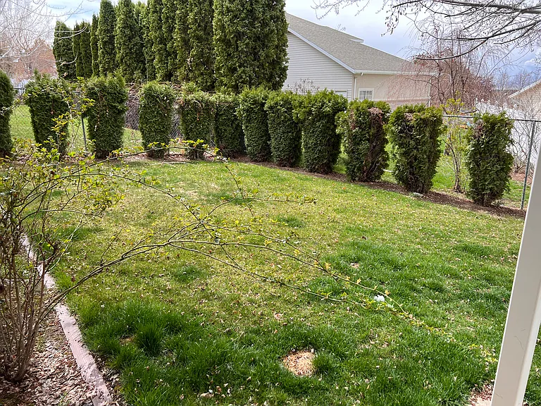2589 Iroquois Dr — Photo 16