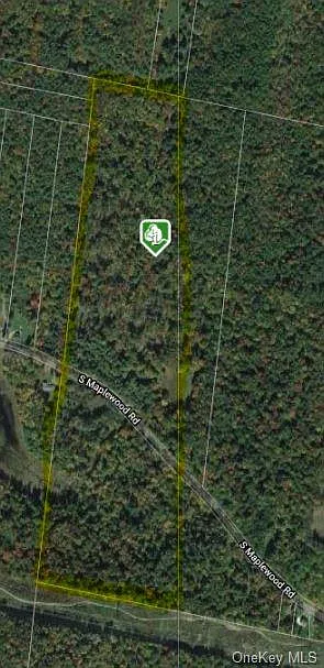South Maplewood Rd photo 1