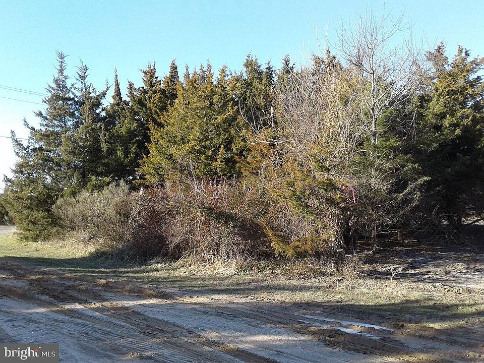 2nd image of Passwaters Dr Lot 533