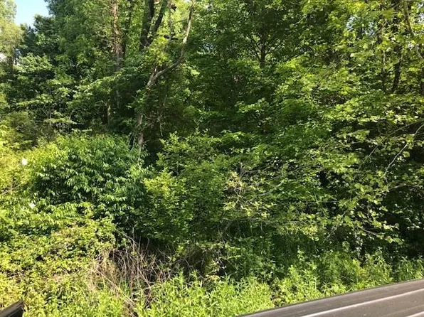 00 Long Creek, Robbinsville, NC 28771