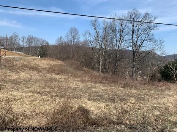 Rohrbough St, Belington, WV 26250