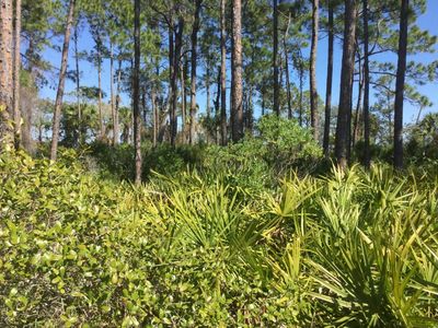 225 Park Point Cir, Port Saint Joe, FL, 32456