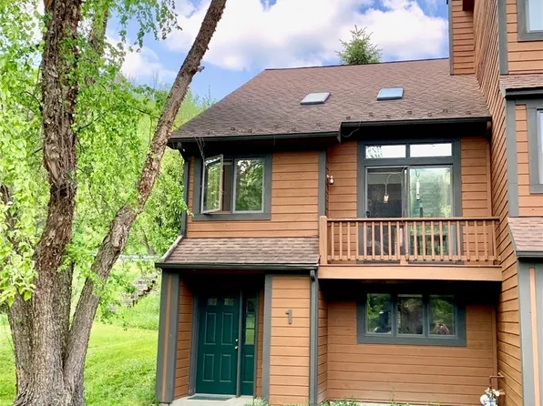 (undisclosed Address), Ellicottville, NY 14731