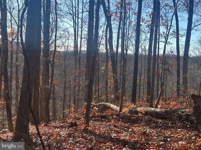 38196 Lime Kiln Rd, Middleburg, VA, 20117