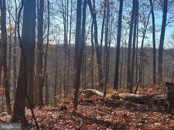 38196 Lime Kiln Rd, Middleburg, VA 20117