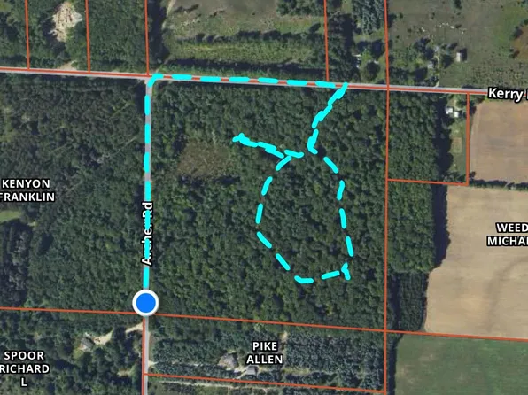 Kerry And Archer Rd, Brethren, MI 49619