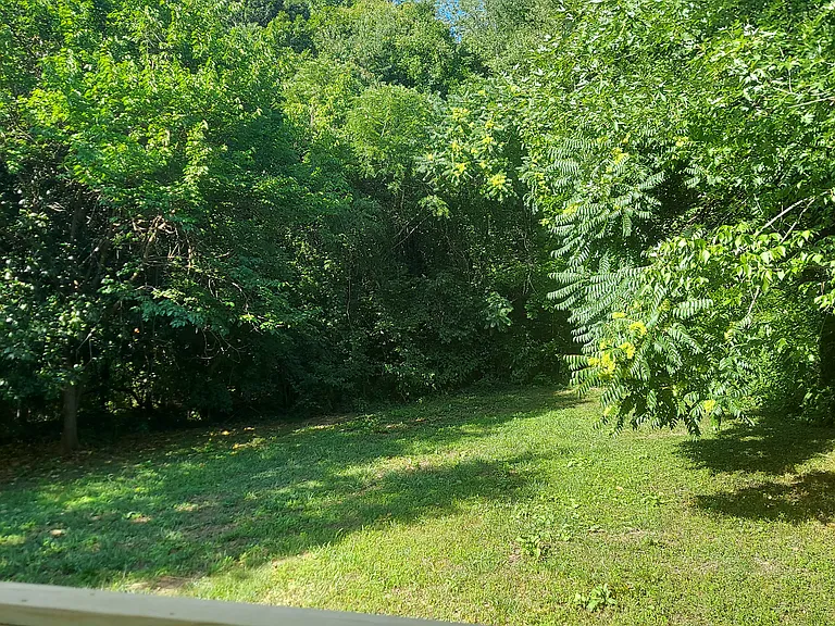 525 Chandler St — Photo 11