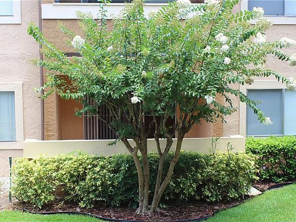 5th image of 602 Kenwick 103 Cir