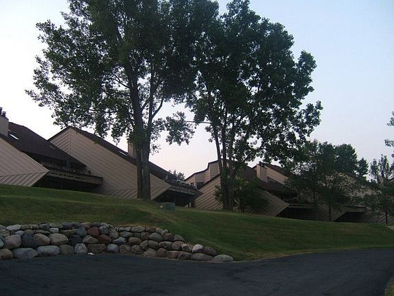 View of the back yard