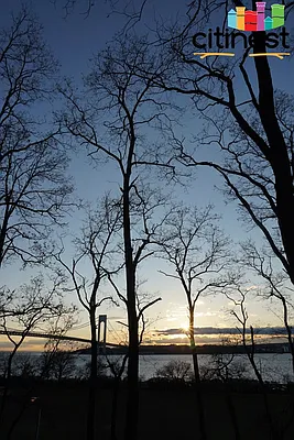 Rented by Citi Nest Group LLC | media 38