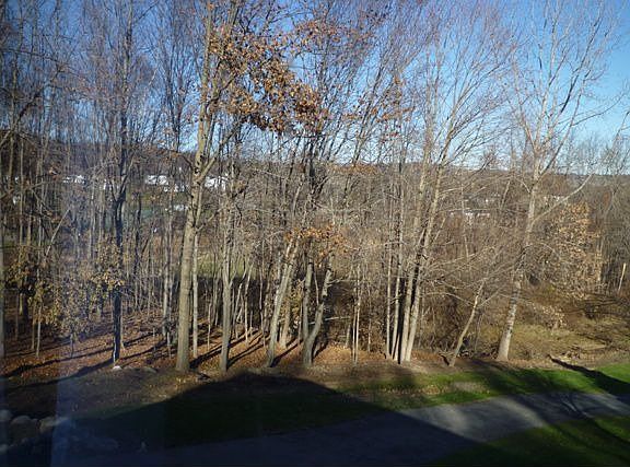 side view-right side