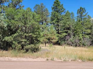 1178 Crooked Rd, Pagosa Springs, CO 81147