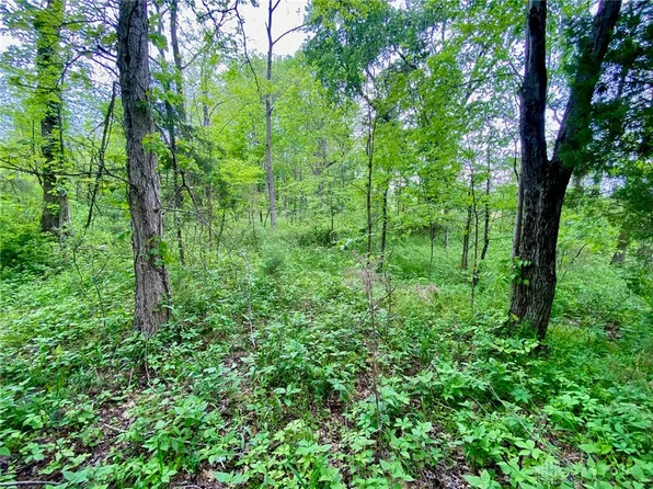 Patton Rd, Winchester, OH 45697