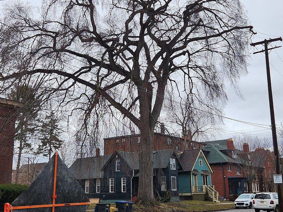 2nd image of 7906 Saint Paul St