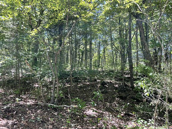 2nd image of 000 County Road V213