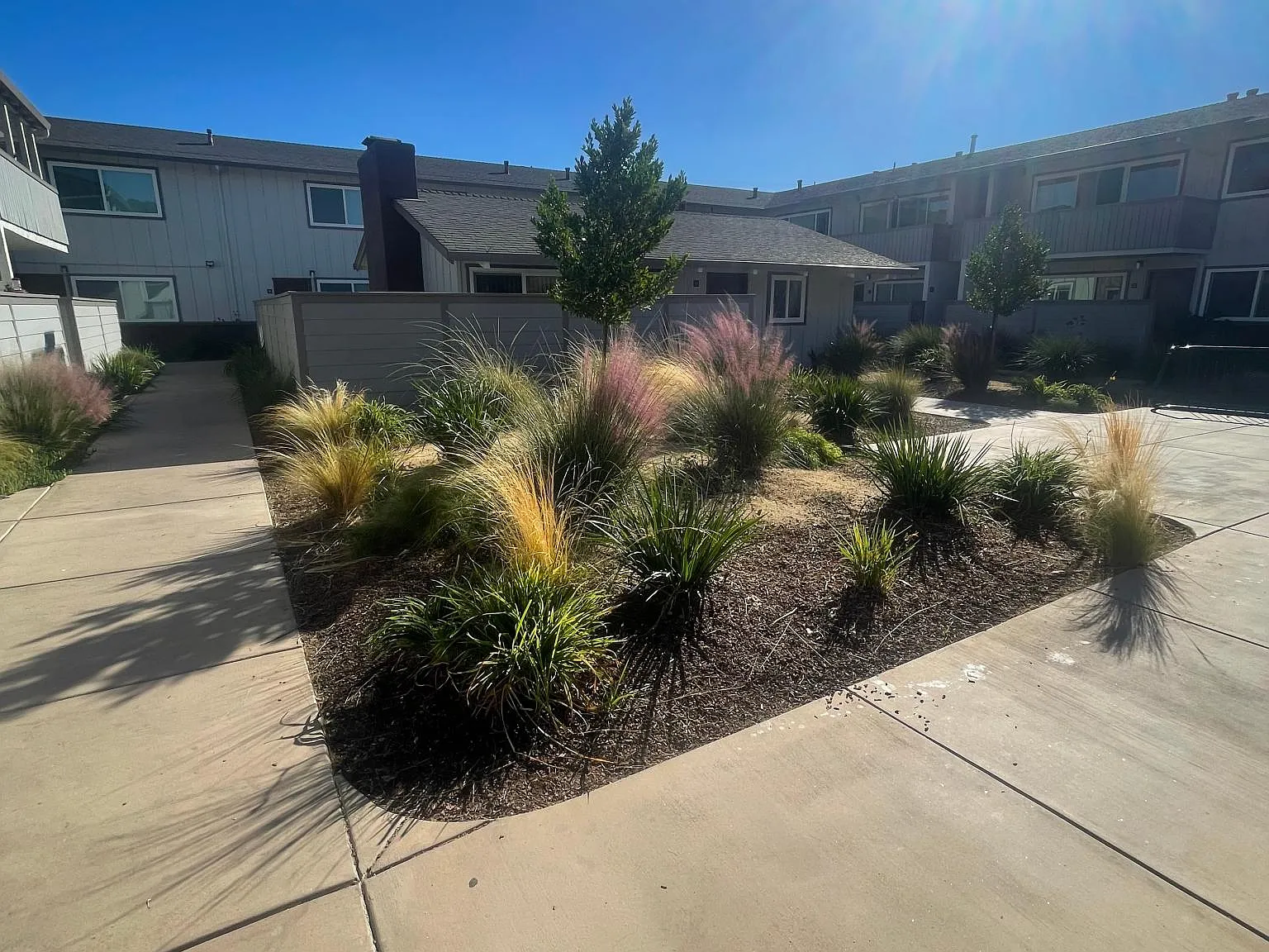 The Orchard Apartments — Photo 4