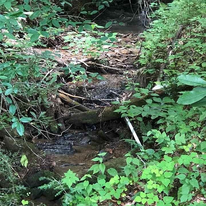 1st image of 7 Rail Way Lot 7B