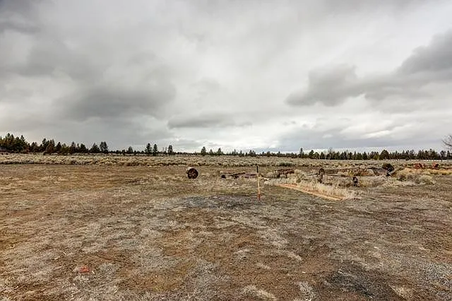 View from back of house