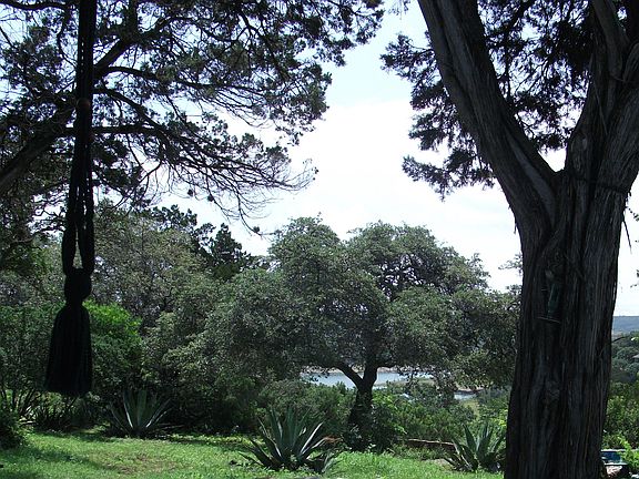 View from covered deck