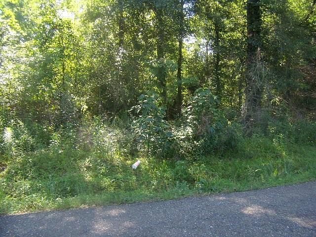 1st image of Highway 435