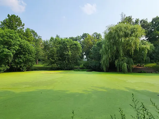 Sold by Bond New York | media 11